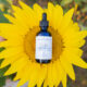 Why Your Skin is Craving an Oil Cleanse (Yes, Even If You’re Oily)